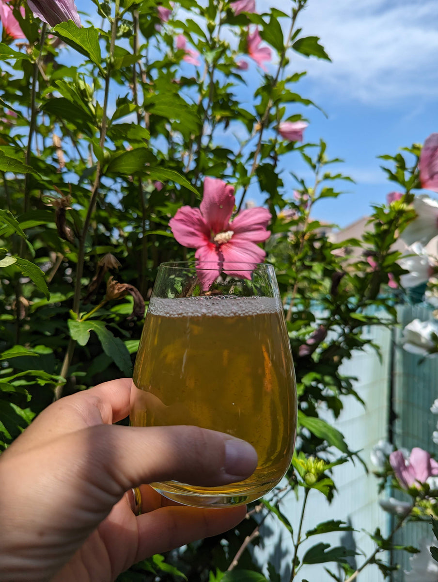 how-to-make-cold-brew-loose-leaf-tea-teapster