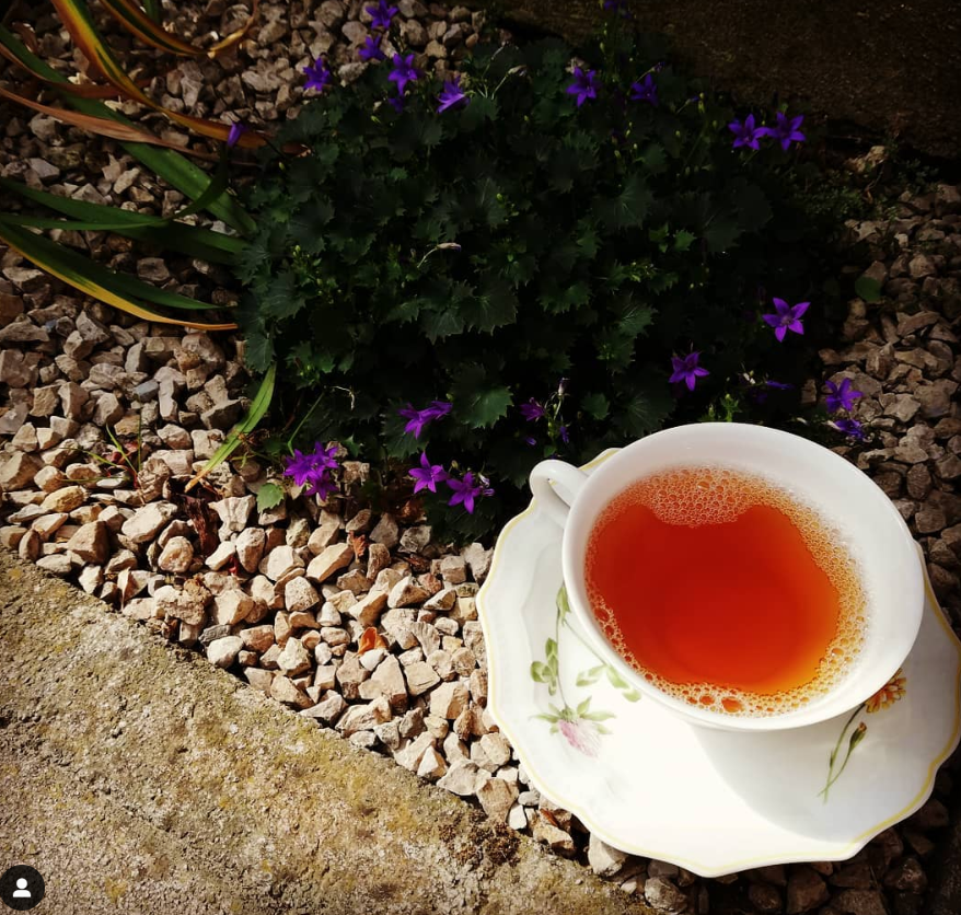 oolong tea health benefits