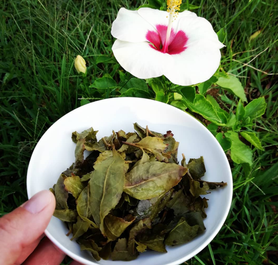 Tie Guan Yin Oolong Loose Leaf Tea - Iron Goddess of Mercy